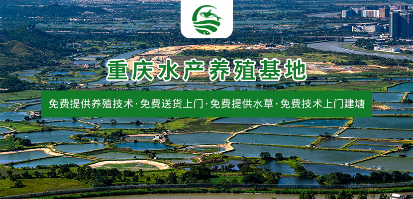 重庆水产养殖基地